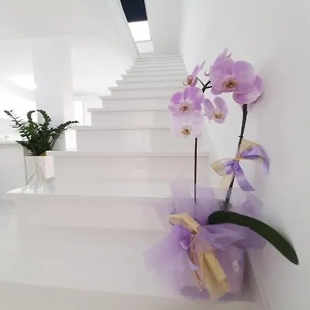 Appartamento Casa Aurelia - Aurelia Design Krk Town