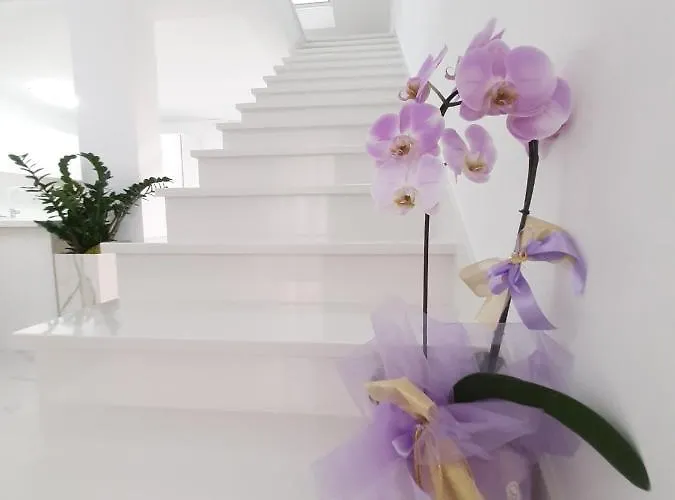 Apartament Casa Aurelia - Aurelia Design Krk Town
