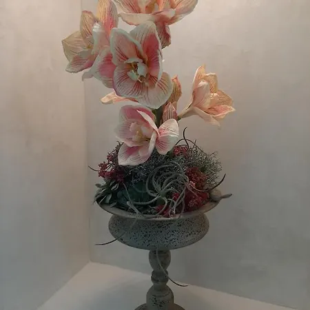 Casa Aurelia - Aurelia Design アパート